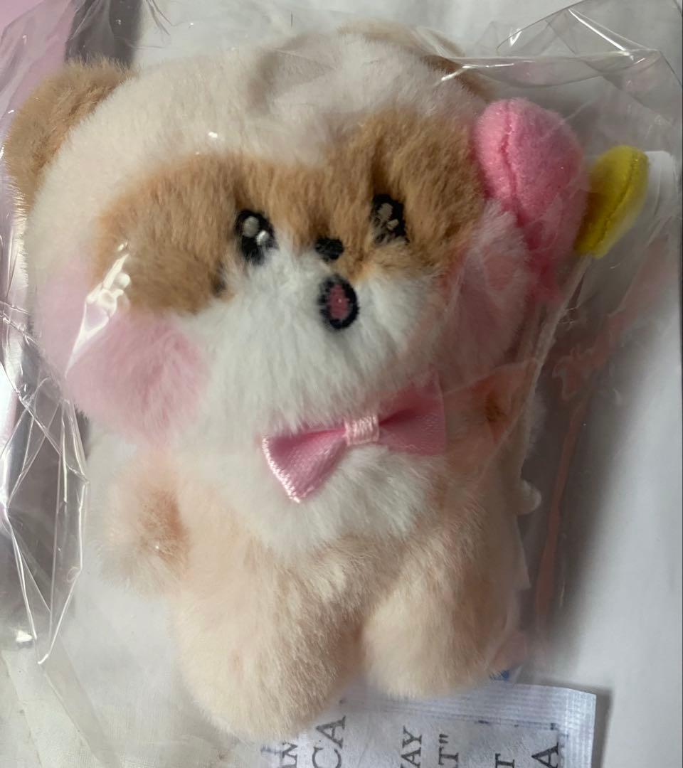 最終★zeroni popup ハニニ8点セット★公式品★ジャンハオ★非売品含む