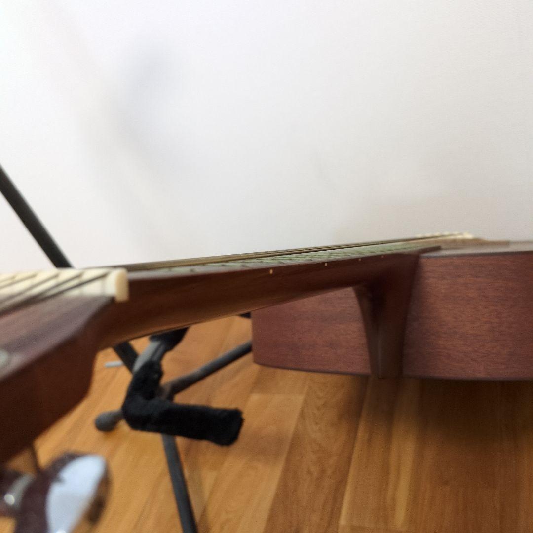 Martin & Co. D-15 アコースティックギター