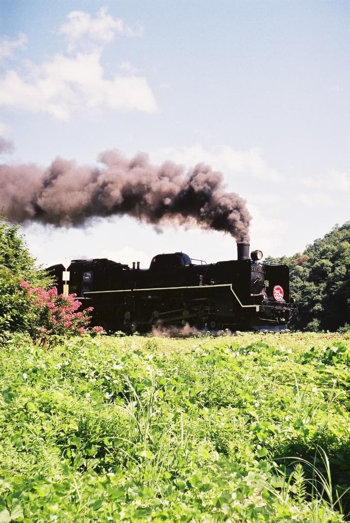 【実写確認整備品】イハゲーEXA １／カールツァイス テッサー50㎜f2.8付