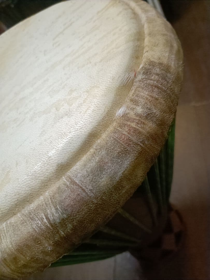 ジャンベ ガーナボディ メリナ材 軽量5.6kg