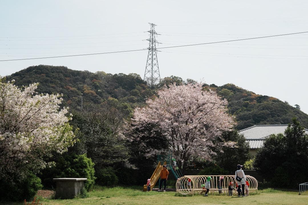レンズ(単焦点) Carl Zeiss Makro Planar 60mm F2.8 C mmj