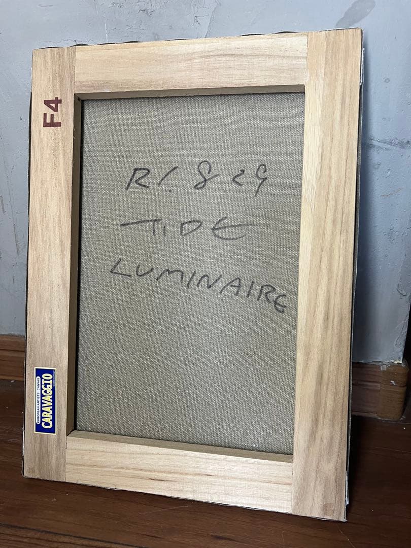 イデタツヒロ TIDE 原画　ANGRY CAT LUMINAIRE アート