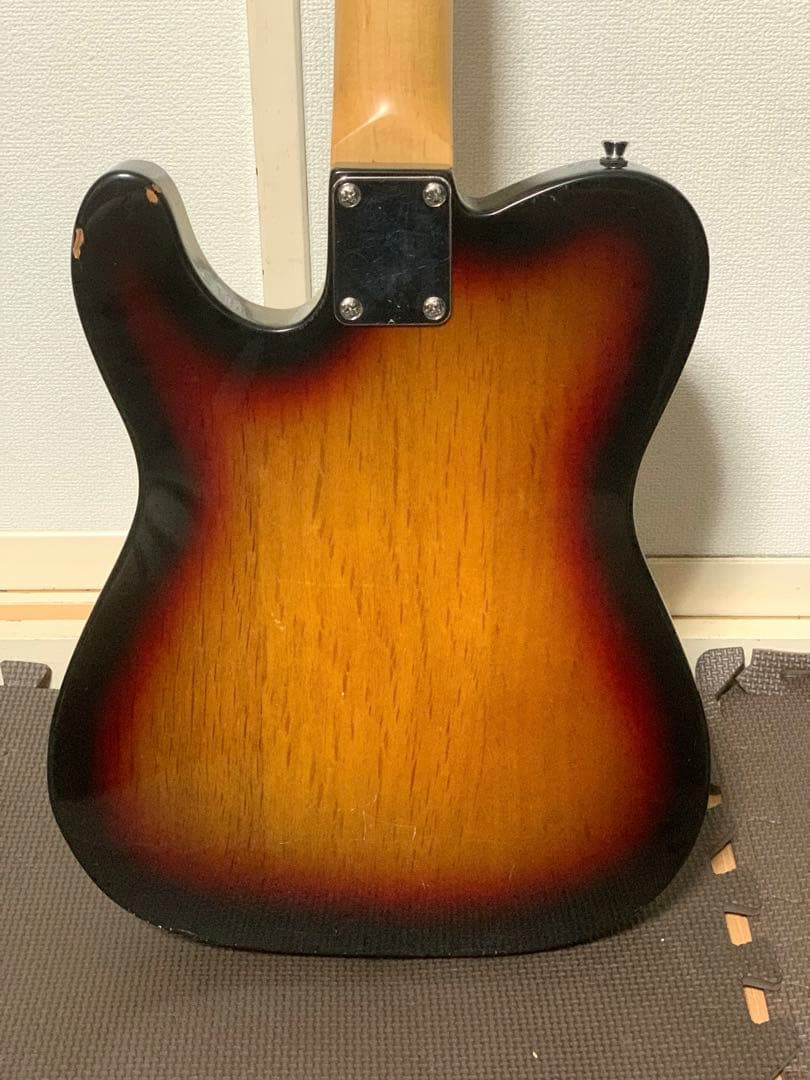 SELDER セルダー テレキャスター タイプ TL テレキャス