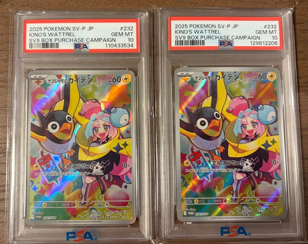 ナンジャモのカイデン232/SV-P