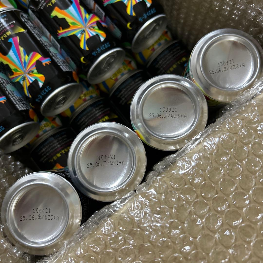 【長野•山梨限定】有頂天エイリアンズ クラフトビール24本