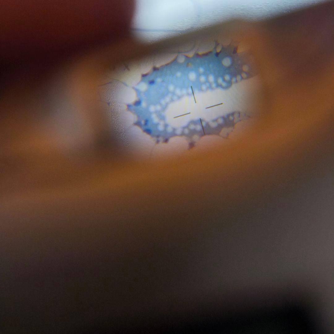 超小型・高性能・高画質 コンパクトカメラ 「μ[mju:]（ミュー)－II」