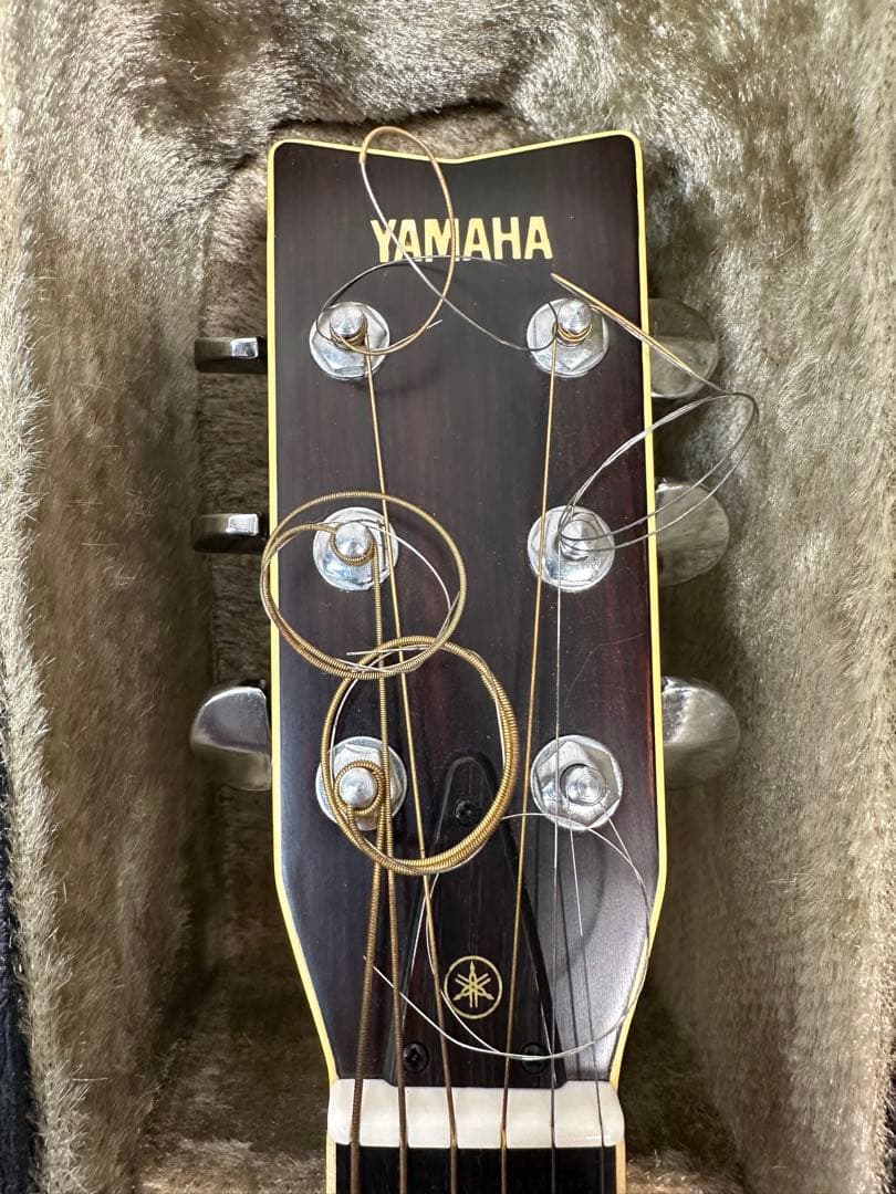 YAMAHA ヤマハ FG-351B 保証書・ハードケース付 ※31