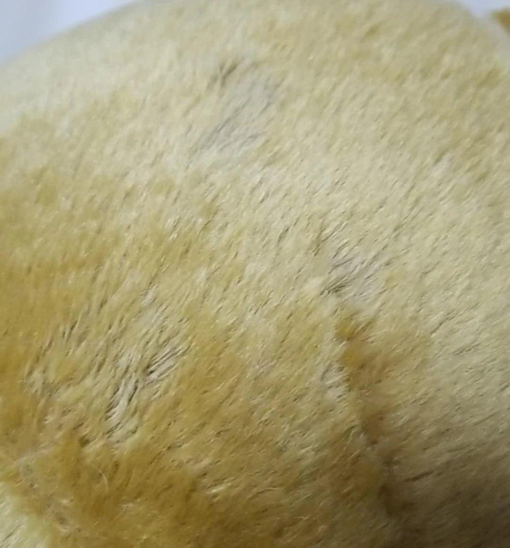 ヴィンテージ　ジャンボチーキー　約63cm