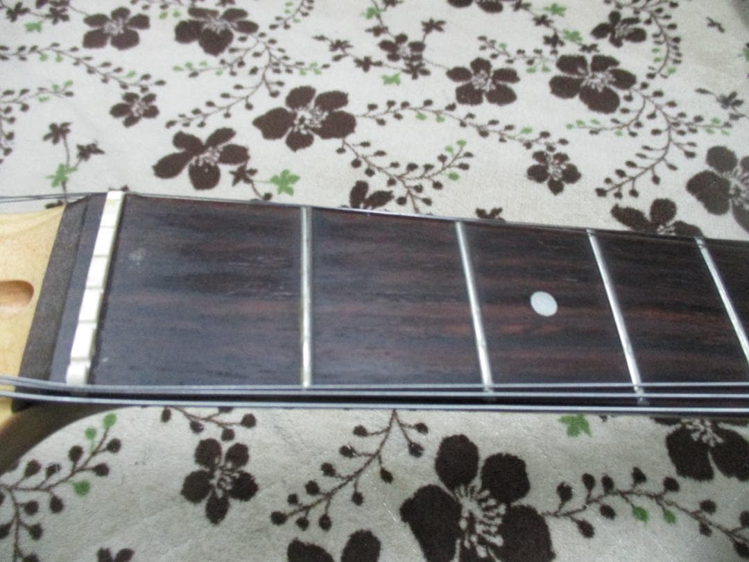 Bucchus　テレキャスター　BTC-1R