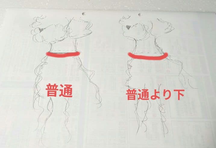 ご覧の皆様へ　採寸について少し…