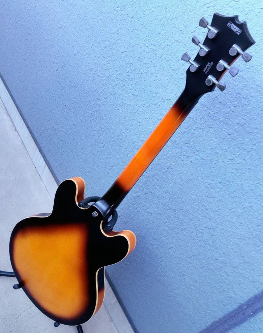 Cort Source 335 セミアコ