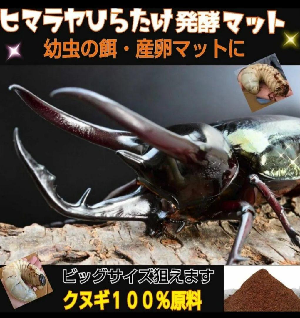 たっぷり60リットル　カブトムシ幼虫が大きくなります！発酵マット　雑虫がわかない