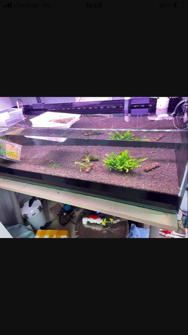 20Lろ材水質浄化抜群濾過フィルター自社製高品質セラミックリング送料込み