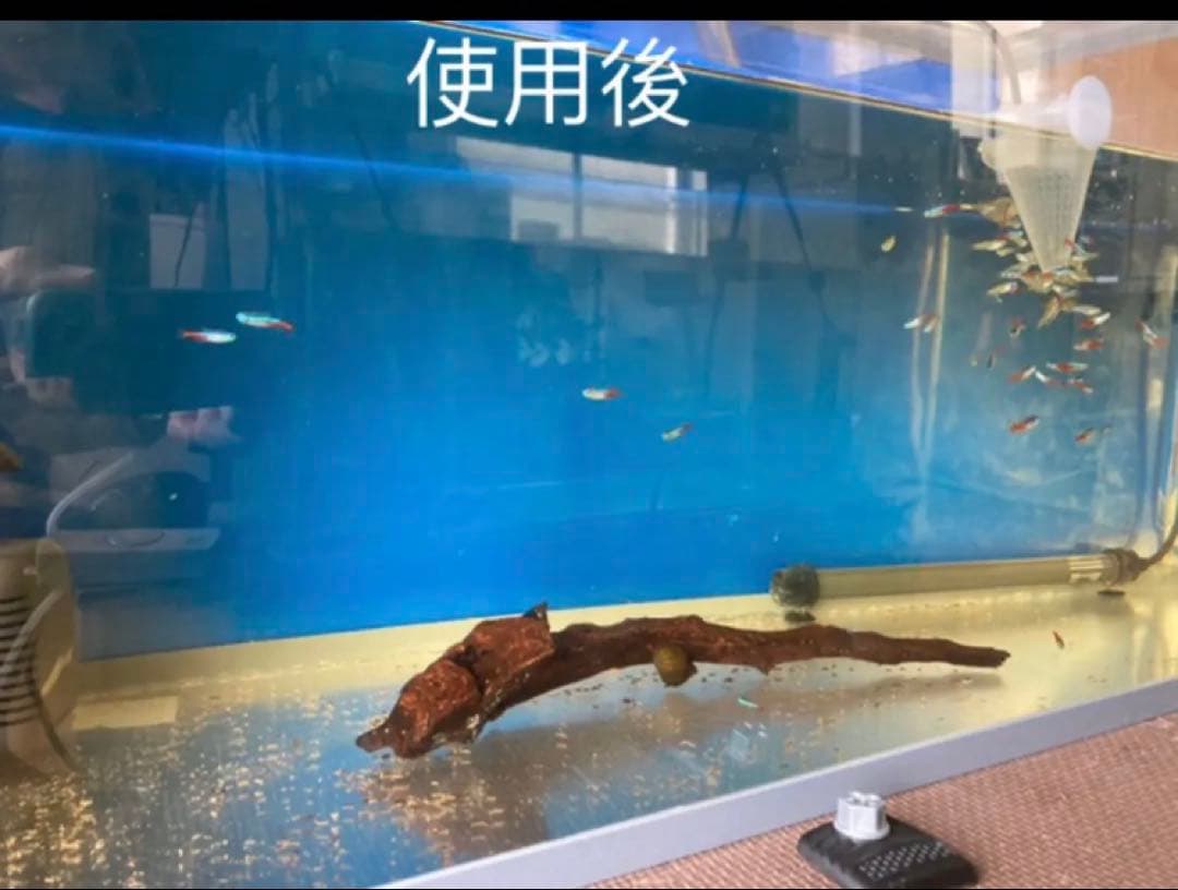 20Lろ材水質浄化抜群濾過フィルター自社製高品質セラミックリング送料込み