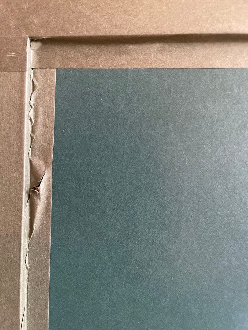 サルバドール・ダリ　「ポート・リガットの聖母」リトグラフ　AP 65/75