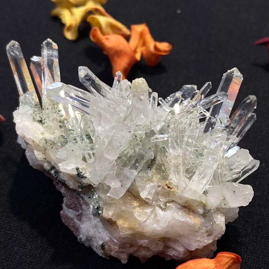 コロンビアレムリアンクラスター