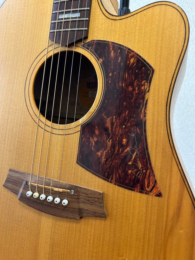 Cole Clark FL2AC 値下げ