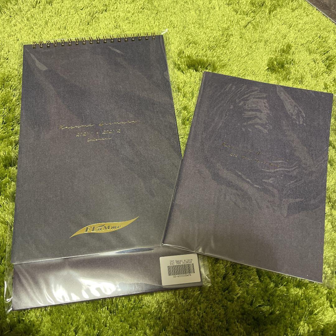 有村架純　カレンダー　クリアファイル　生写真