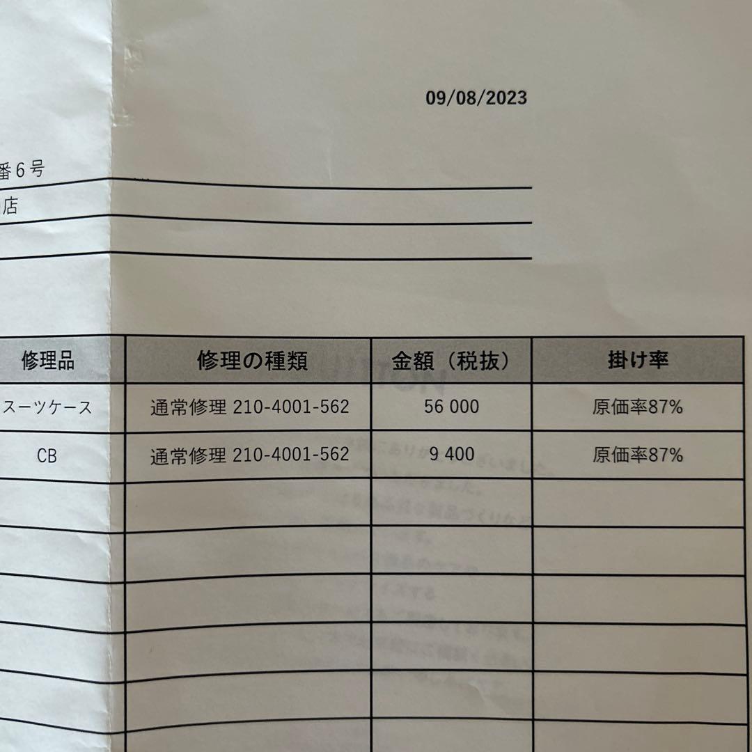Louis Vuitton ペガサス50キャリーバック　スーツケース　トラベル