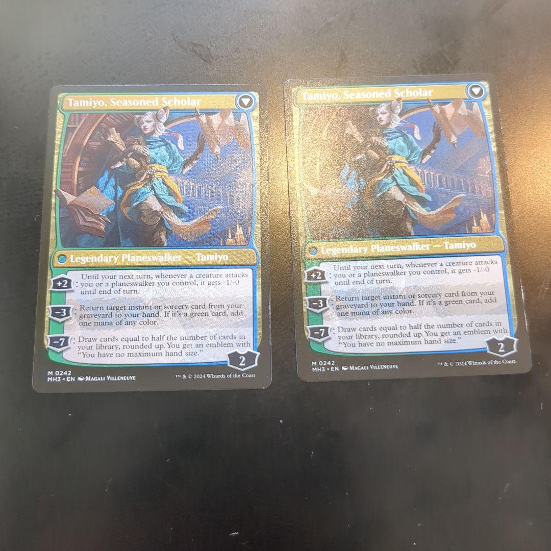 知りたがりの学徒、タミヨウ　英語版　2枚セット