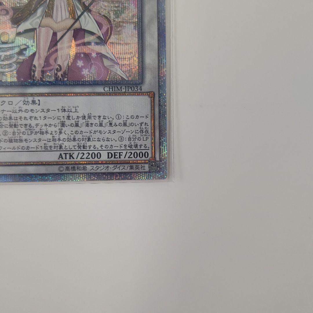 遊戯王 アロマセラフィ－スイート・マジョラム