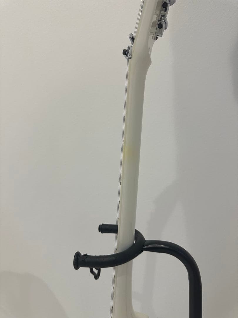 Edwards アレキシV アレキシライホ