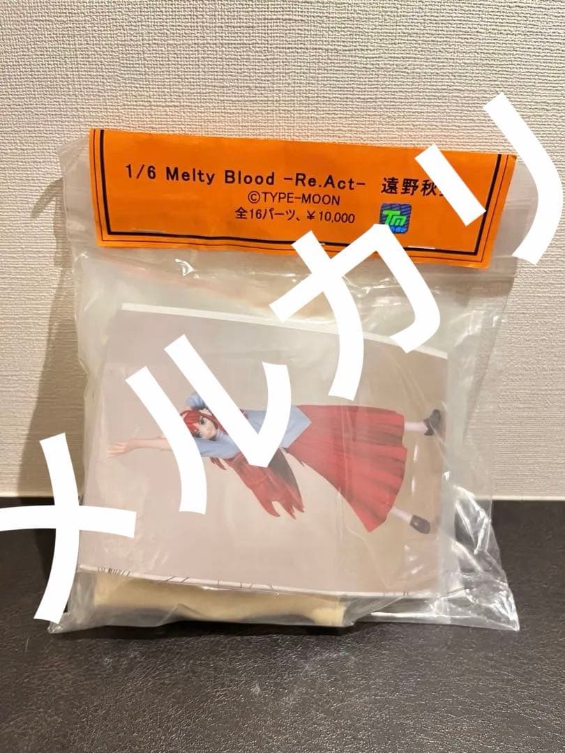 Cerberus Project遠野秋葉 1/6 ガレージキット