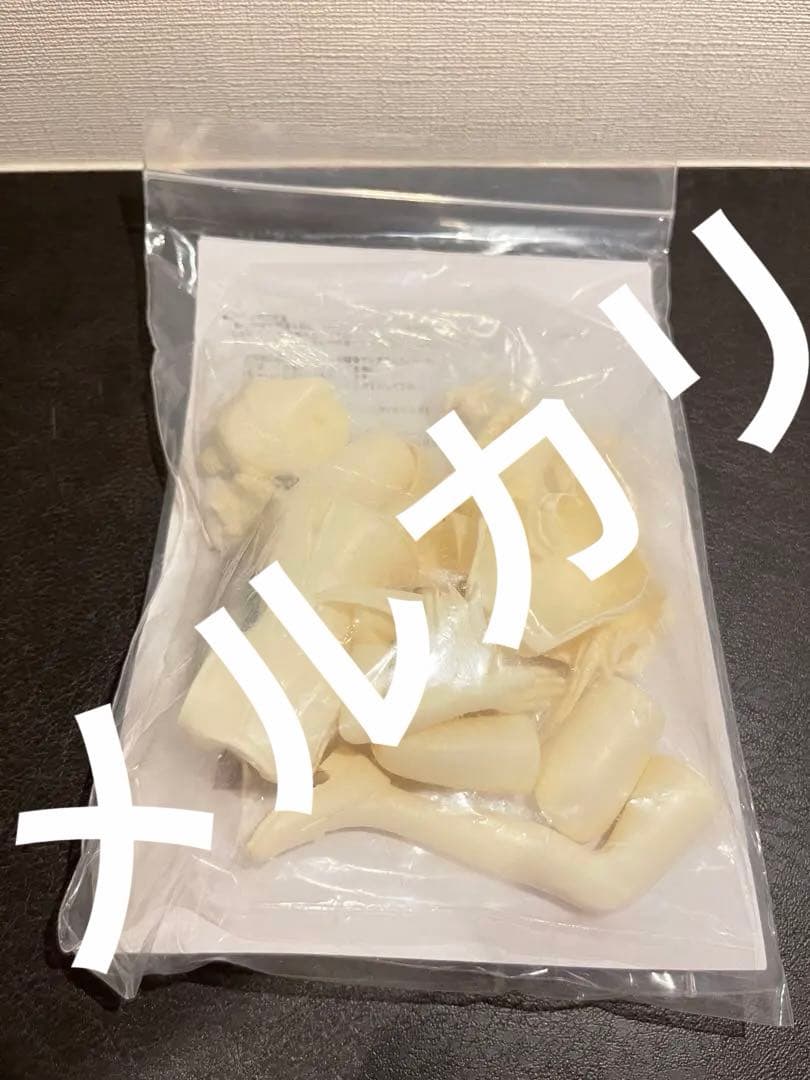 Cerberus Project遠野秋葉 1/6 ガレージキット