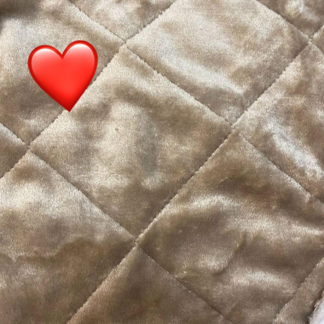 ハリネズミ寝袋 とんがりハウスご確認用