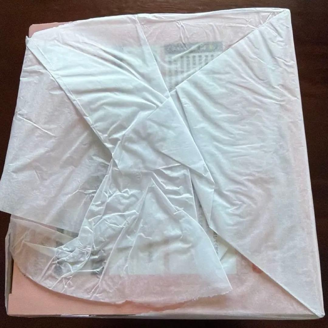 ポケットモンスター　ヒカリwithナエトル