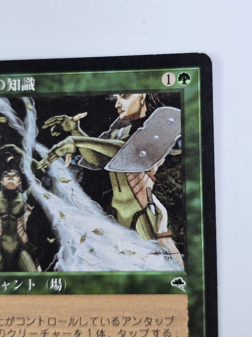 MTG 《大地の知識/Earthcraft》[TMP] 日本語