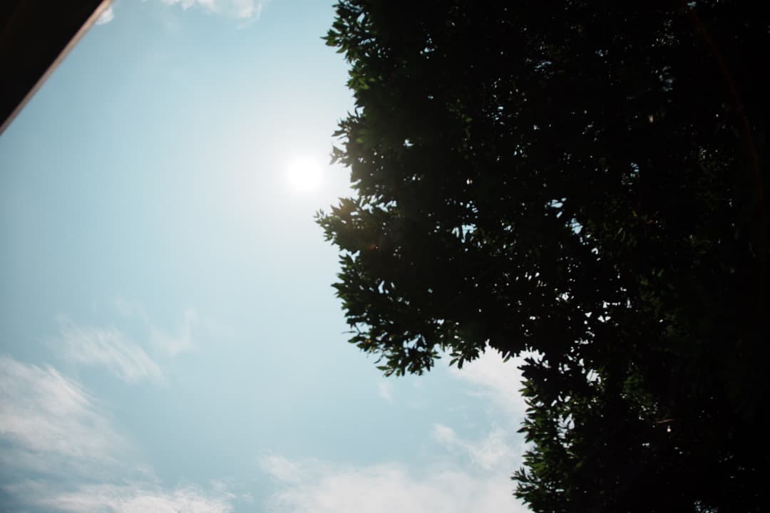 極上美品★ニコン 18-200mm VR II 便利ズーム 手ぶれ補正 173