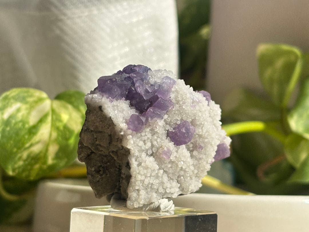 中国 ヤオガンシャン産　パープルブルー　フローライト　水晶　共生鉱物　鉱物標本