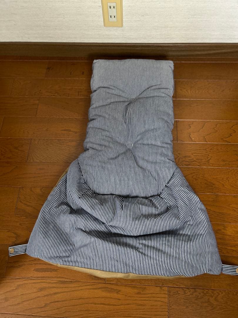 ペットパラダイス ペットカート 、中敷きクッション、専用保冷剤の3点セット