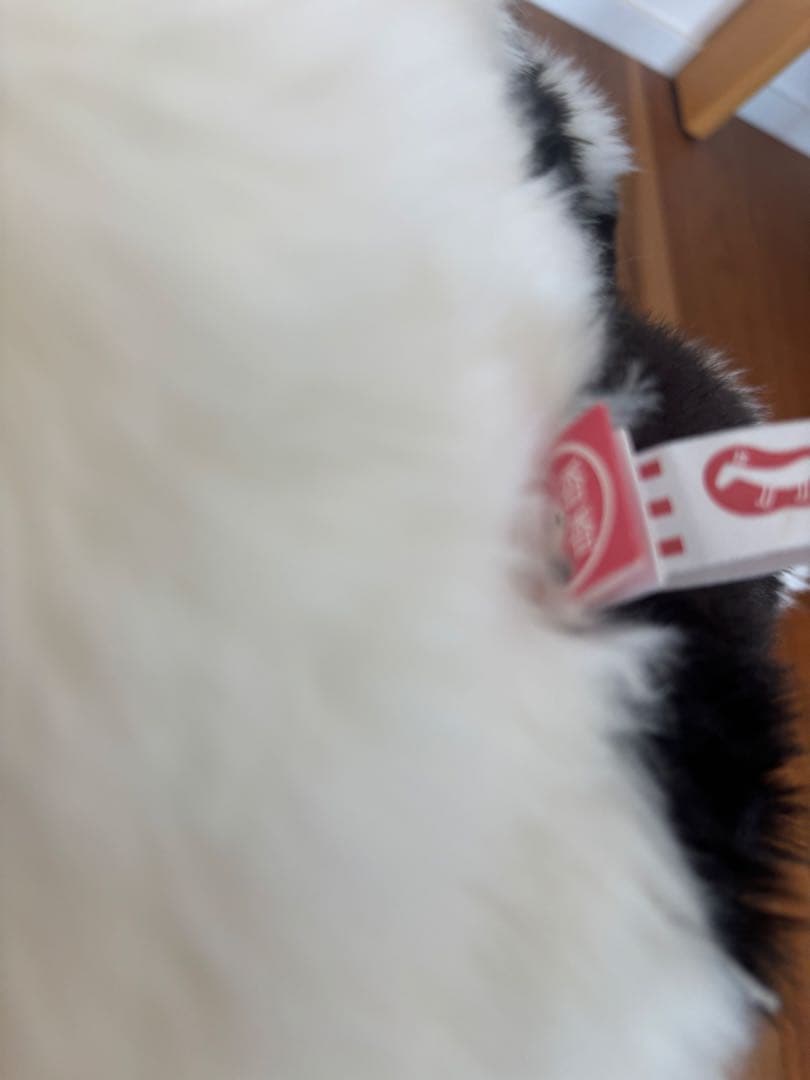 上野動物園　香香　ぬいぐるみ　抱っこ　シャンシャン