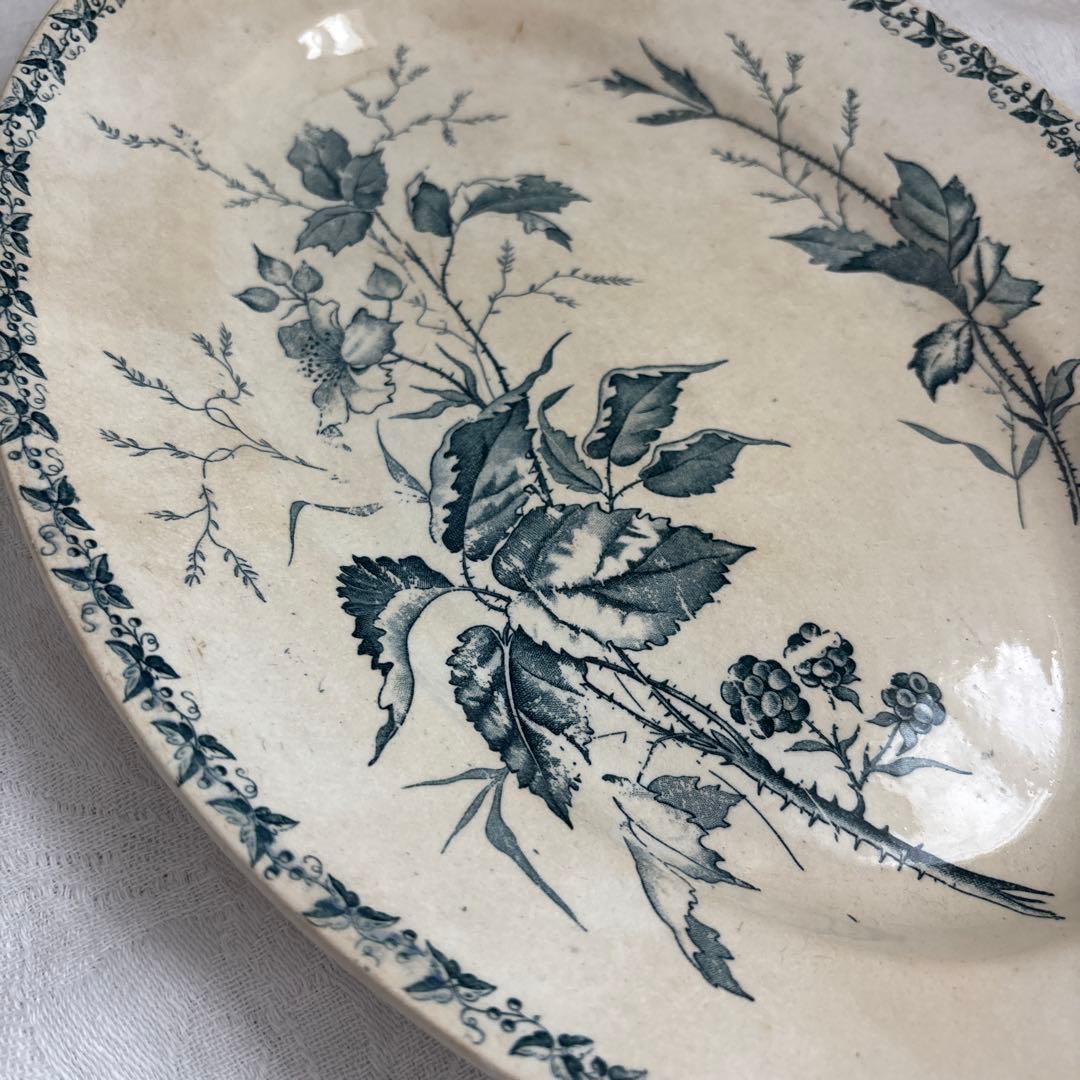 ブラックベリーのオーバルプレート