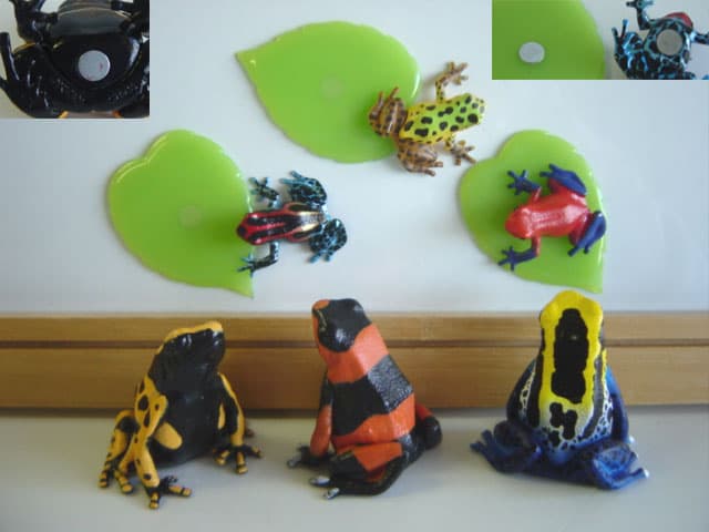 ♯Hoi31CHネイチャーヤドクガエル1ストラップマグネット人気14種