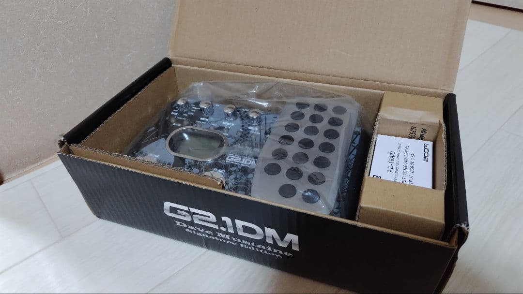 ギター ZOOM G2.1DM
