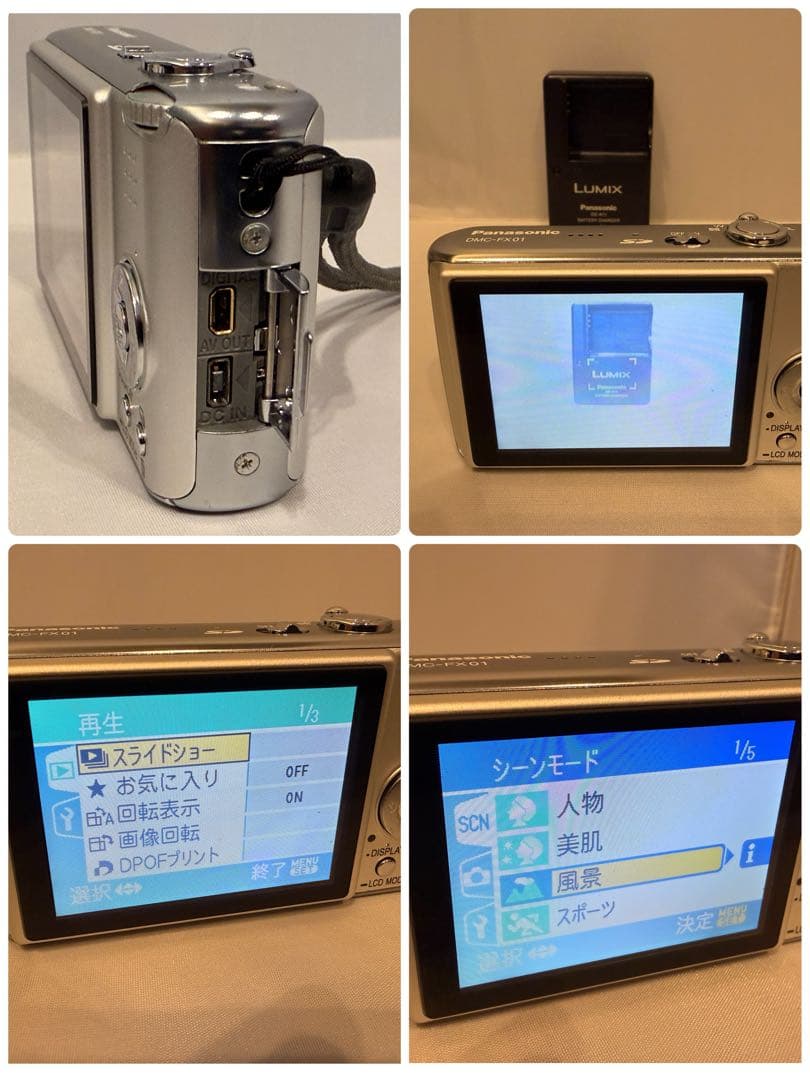 超美品 パナソニック LUMIX DMC-FX01 シルバー ライカB
