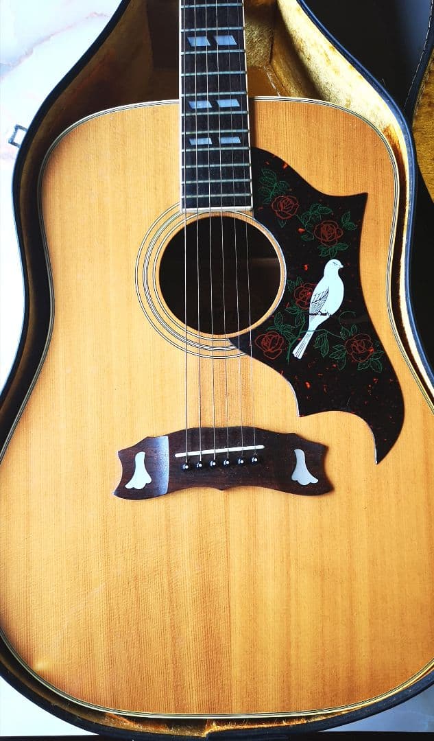 Morris モーリス WD-25N アコースティックギター ダヴモデル