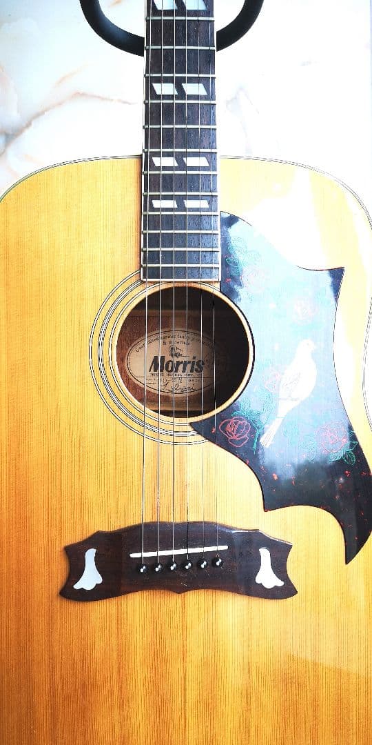 Morris モーリス WD-25N アコースティックギター ダヴモデル