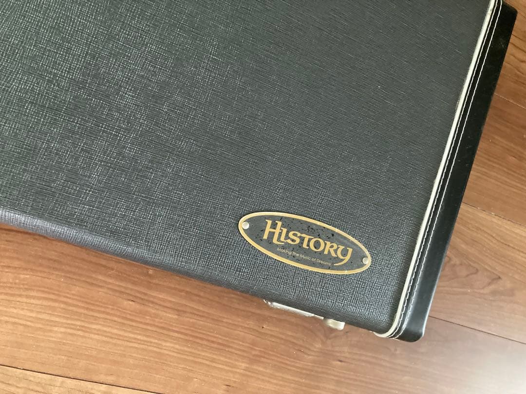 HISTORY SZ-1 ストラトキャスター ペイズリー柄 限定モデル