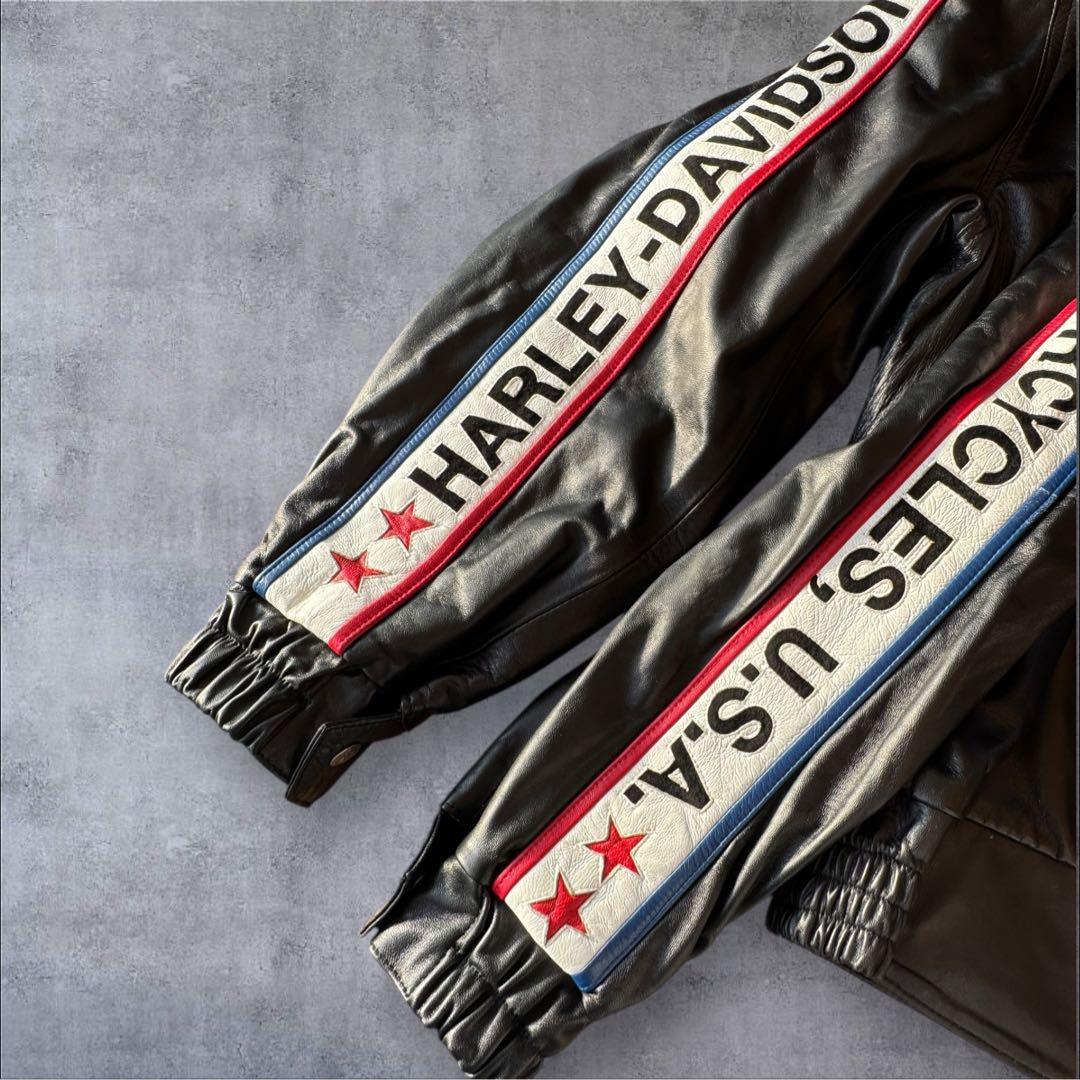 Harley-Davidsonヴィンテージ レザージャケット　サイズL