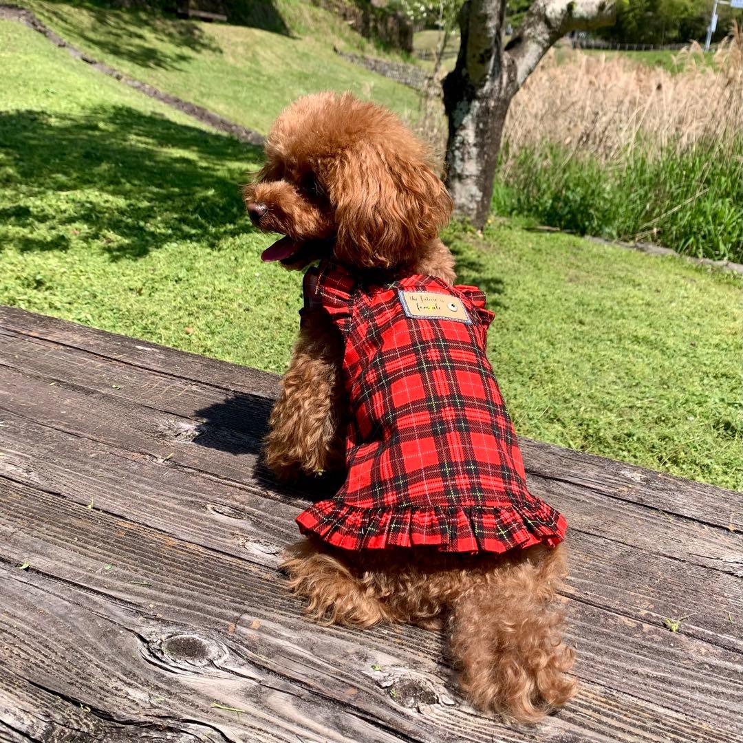 No.4 ハンドメイド犬服 タータンチェックキャミワンピ