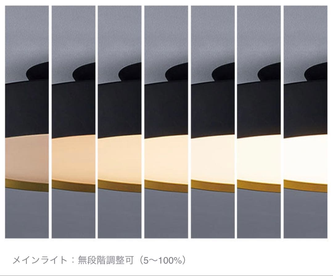 FLYMEe LED Ceiling Lamp 照明　シーリングライト