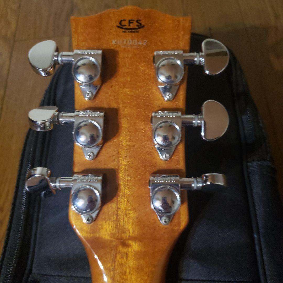 Coolz ZLS-2 FM VNT レスポールタイプ