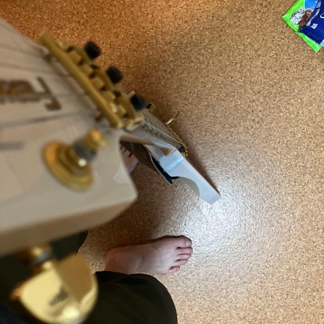 ギター FERNANDES FV-80k