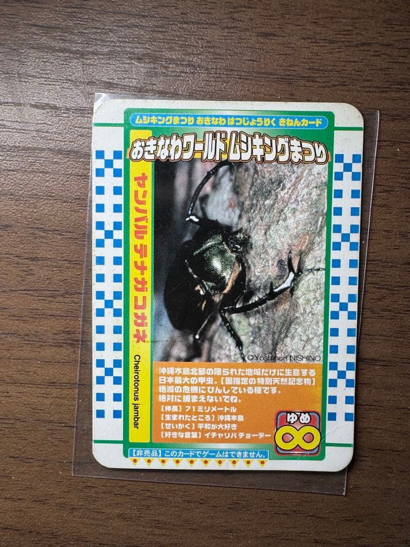 おきなわワールド ムシキングまつり カード