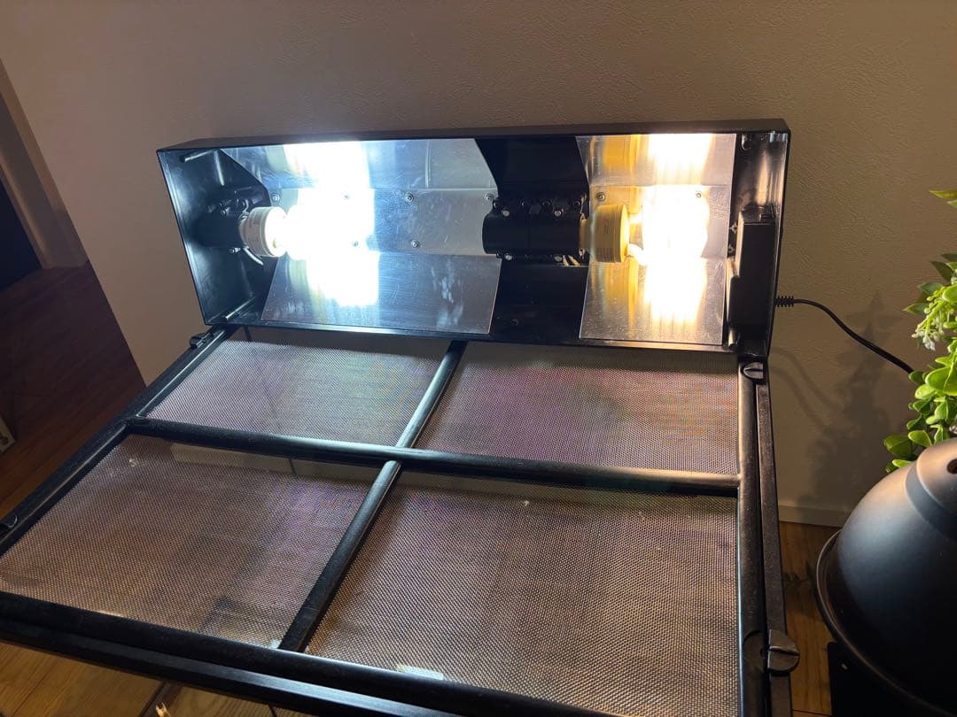 爬虫類　飼育セット　グラステリウム