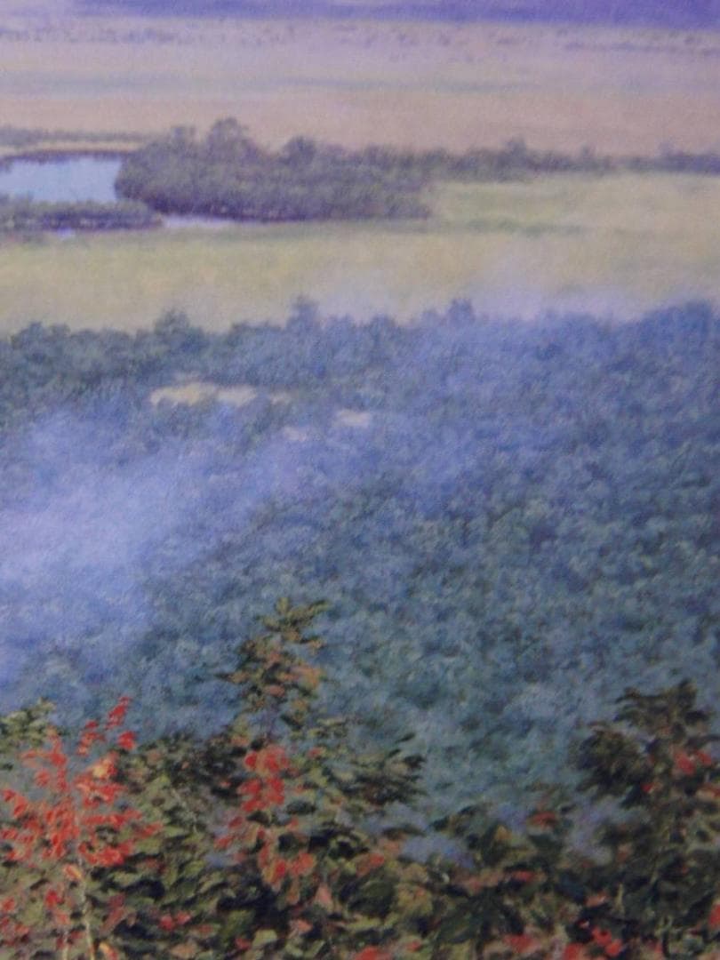 藤田昌市、【湿原遠望（釧路）】、希少な額装用画集より